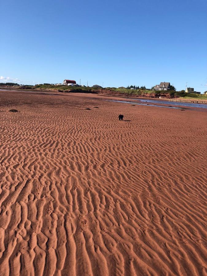 Newly Renovated Confederation Bridge View Cottages Borden-Carleton Экстерьер фото